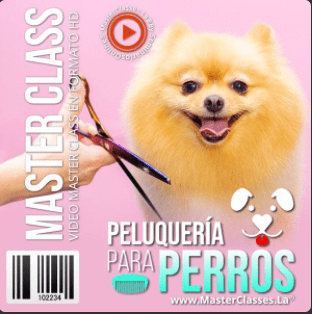 Curso peluqeria canina