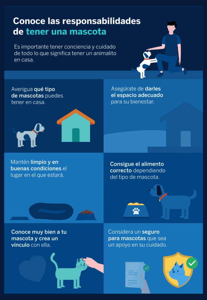 ¿Cómo se debe cuidar una mascota? Como Se Debe Cuidar Una Mascota 708x1024
