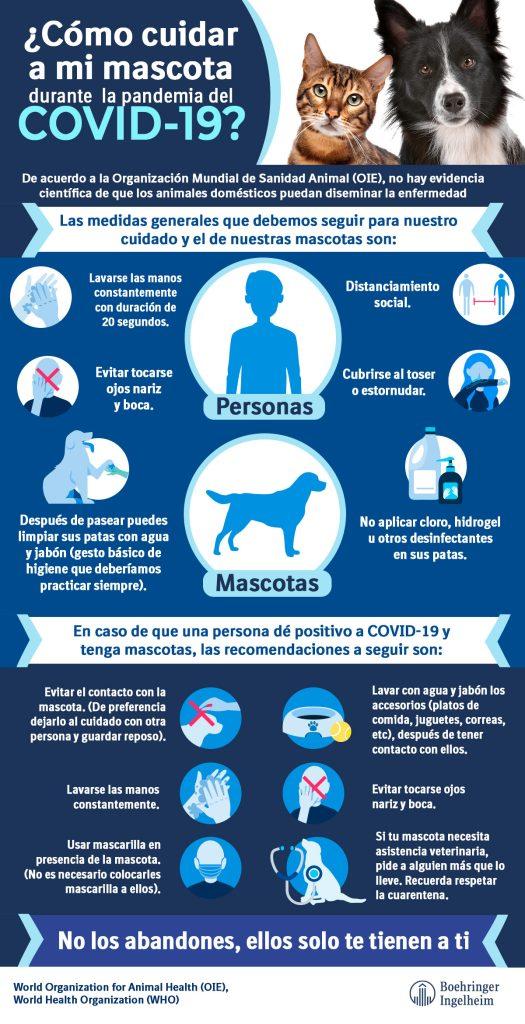 Cual Es La Mascota Mas Dificil De Cuidar 525x1024