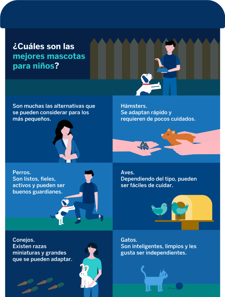 Cual Es La Mascota Mas Facil De Cuidar 777x1024