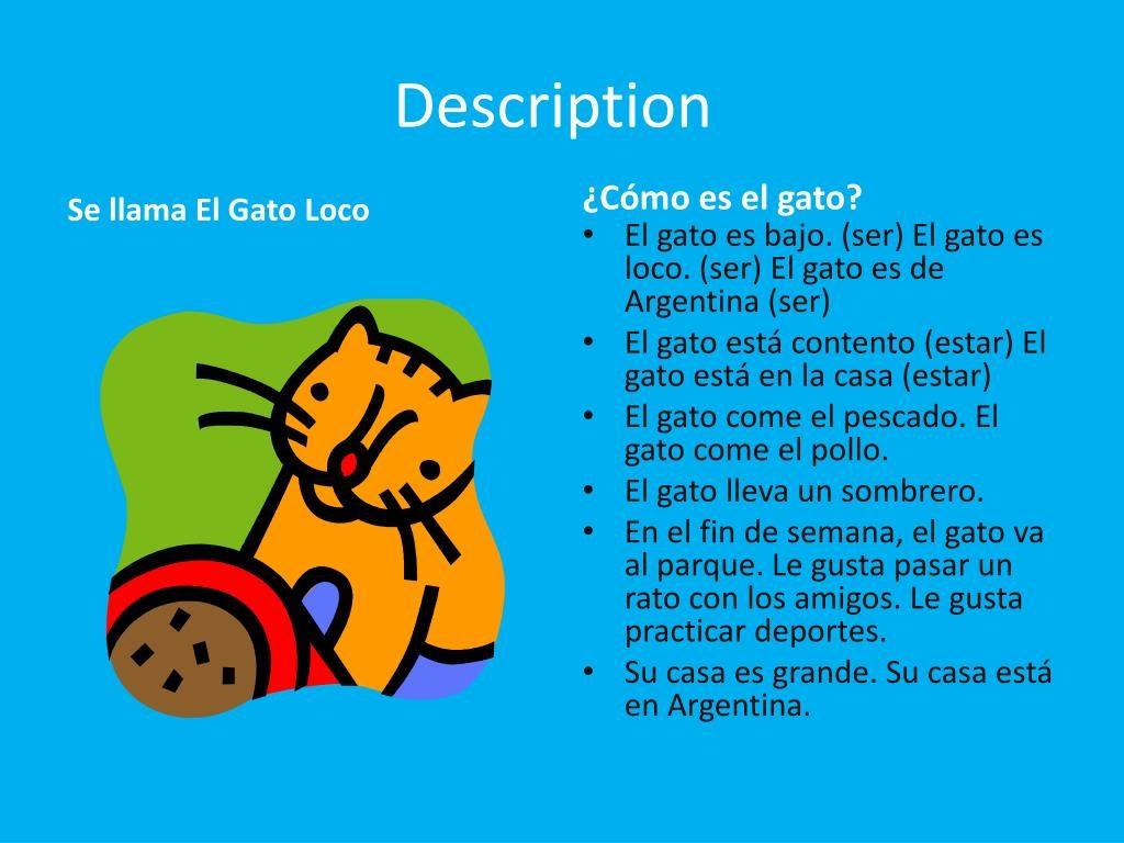 Cuento Del Gato Que No Le Gustaba El Pescado 1024x768