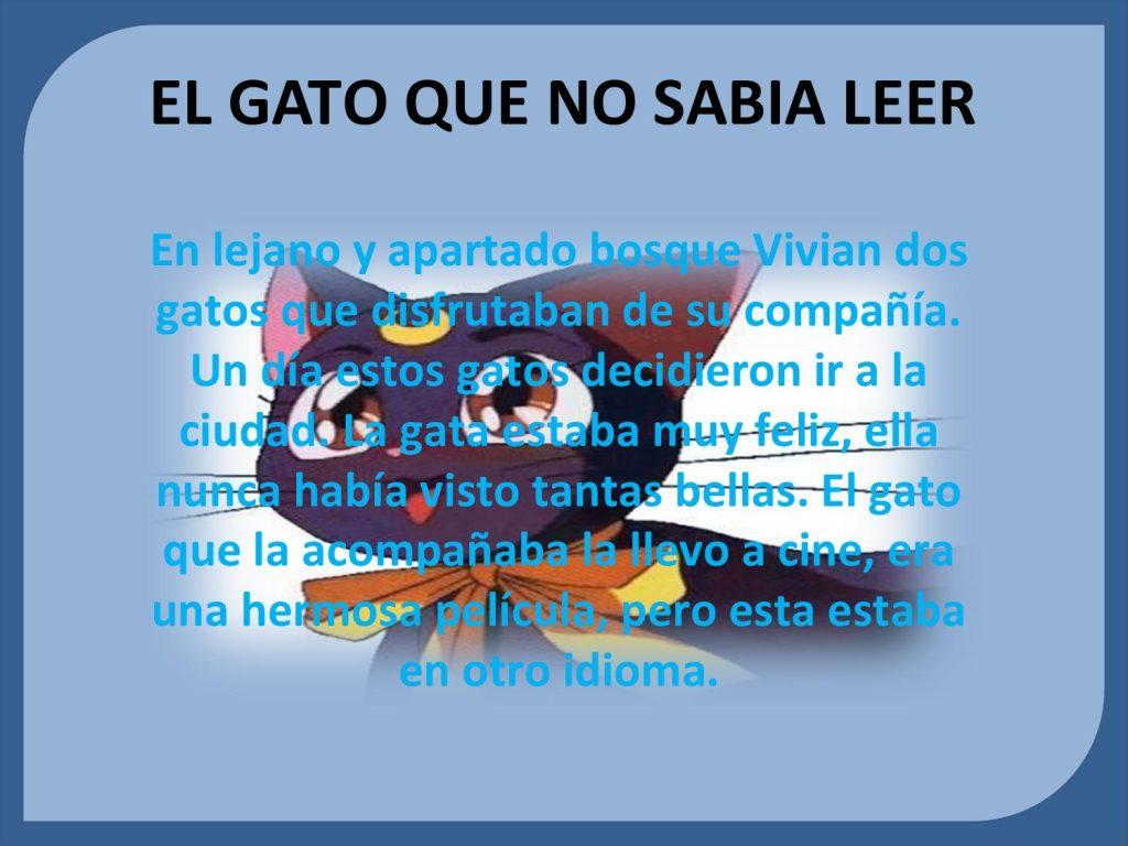 Cuento Del Gato Que Sabia Matematicas 1024x768