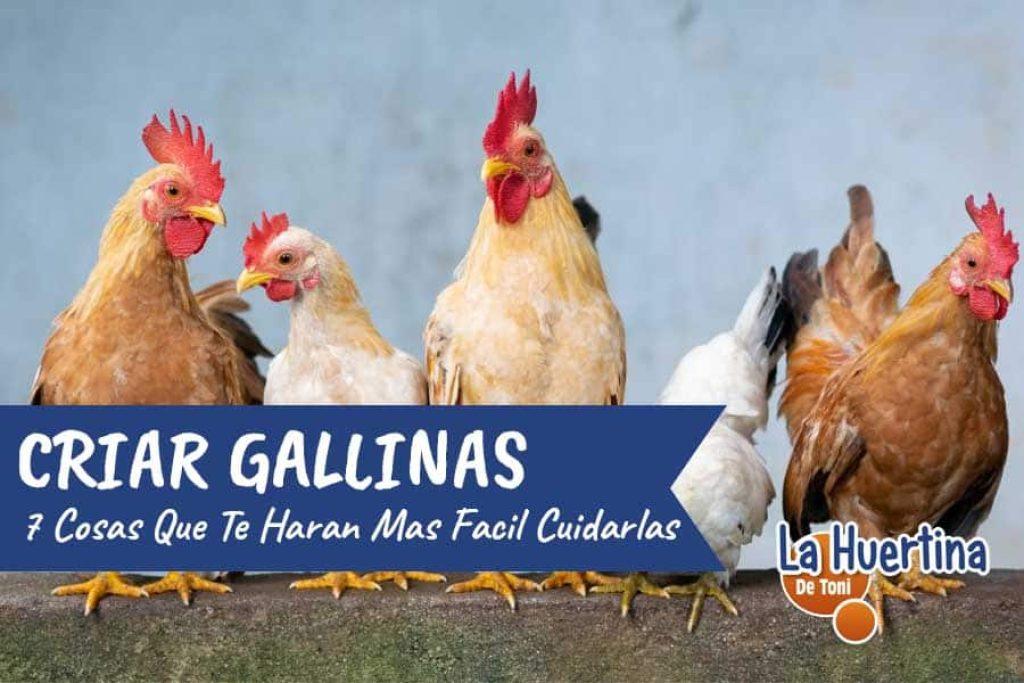 Que Animal Es Mas Facil De Criar 1024x683