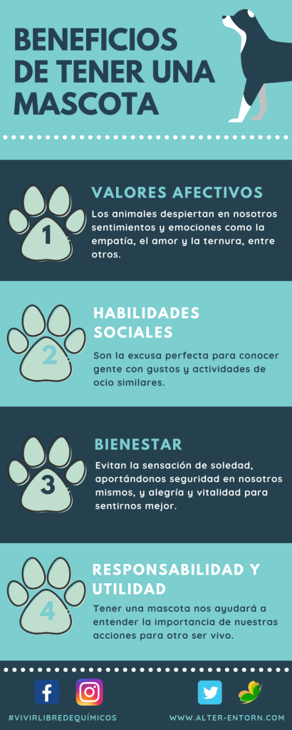 Que Aportan Las Mascotas 410x1024
