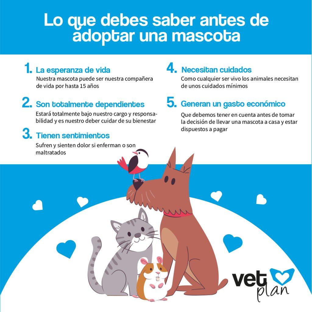 ¿Que hay que saber sobre las mascotas? Que Hay Que Saber Sobre Las Mascotas 1024x1024