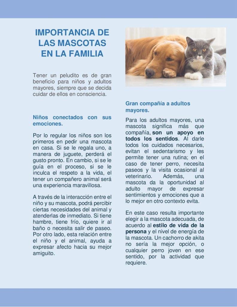 Que Nos Ensena Las Mascotas 792x1024