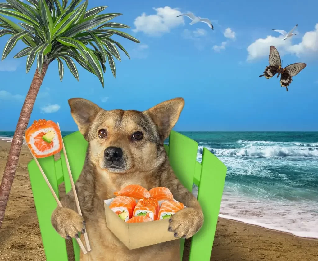 Un Perro Puede Comer Arroz Cocido 1024x842