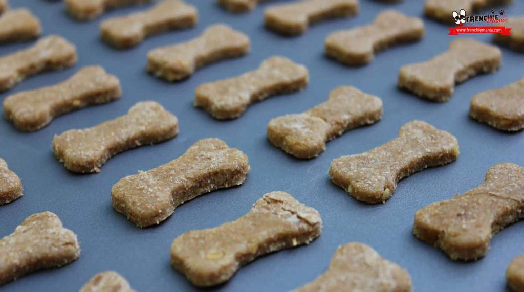 Un Perro Puede Comer Galletas De Avena Sin Azucar 1024x571