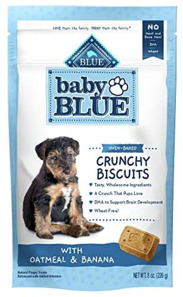 Un Perro Puede Comer Galletas De Jengibre Sin Azucar 631x1024
