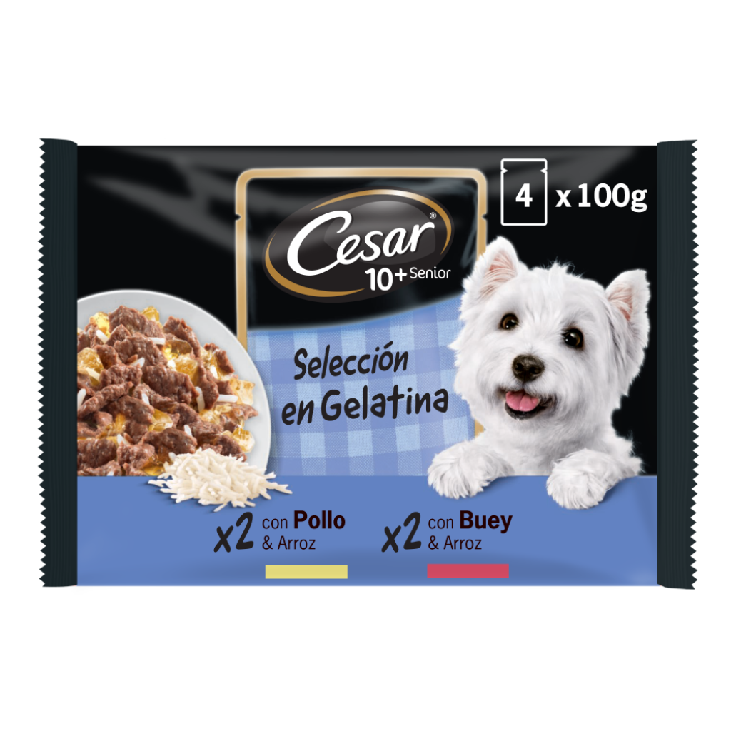 Un Perro Puede Comer Gelatina Sin Azucar 1 1024x1024
