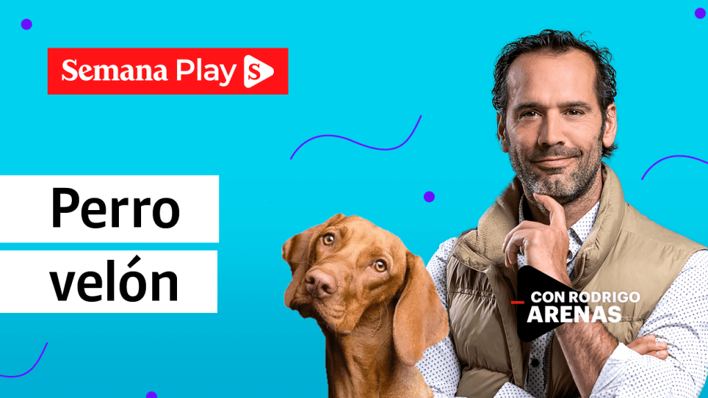 Un Perro Puede Comer Huevos Duros Sin Sal 1024x576
