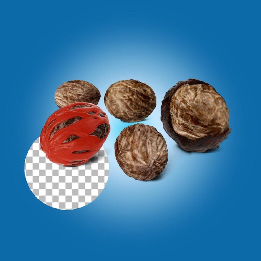Un Perro Puede Comer Nueces De Brasil Crudas 1024x1024