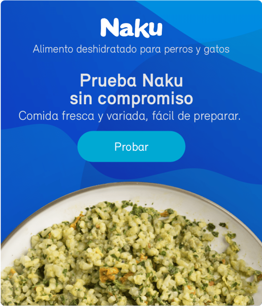 Un Perro Puede Comer Pollo Cocido 876x1024