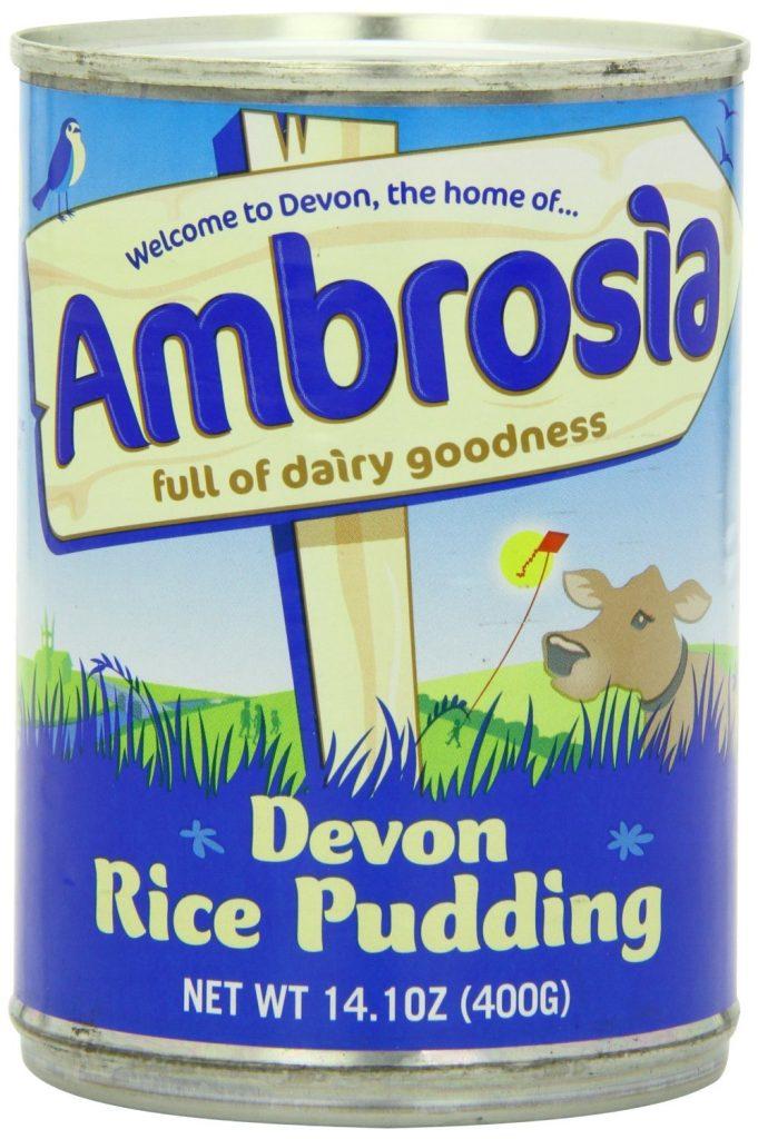 Un Perro Puede Comer Pudin De Arroz Sin Azucar 681x1024