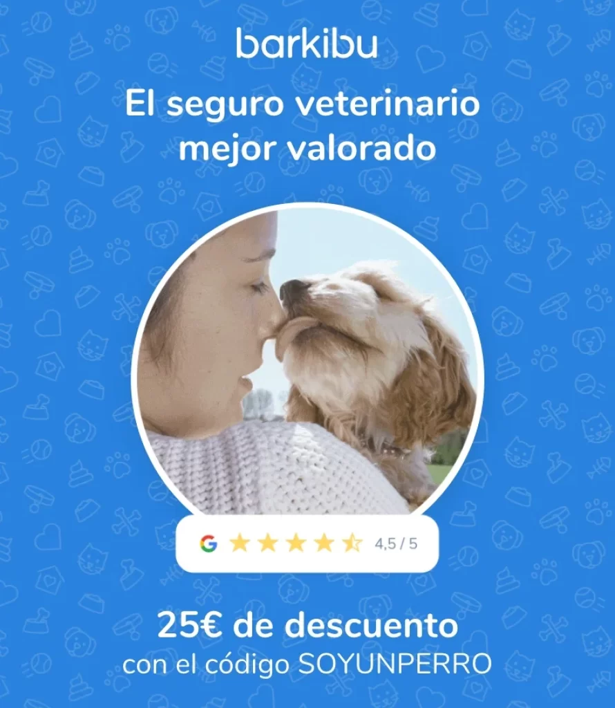 Un Perro Puede Comer Queso Cheddar 890x1024
