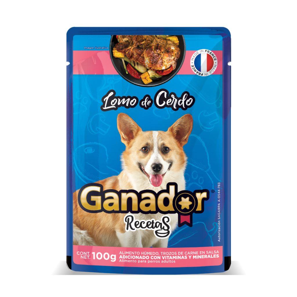 Un Perro Puede Comer Queso Suizo 1024x1024