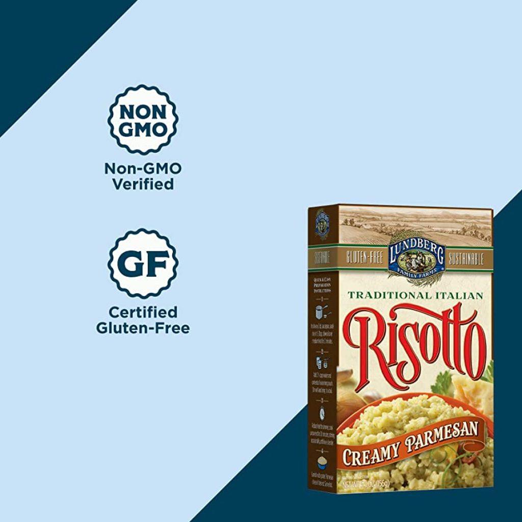 Un Perro Puede Comer Risotto Sin Queso Parmesano 1024x1024