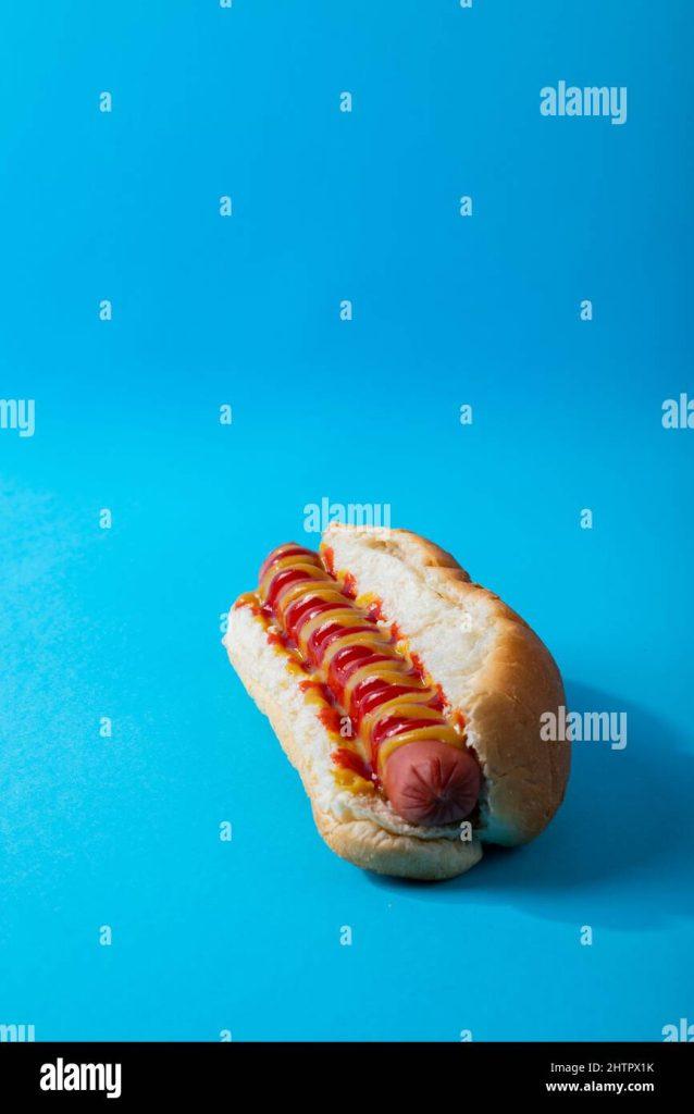 Un Perro Puede Comer Sandwich De Queso A La Plancha Sin Ketchup 638x1024