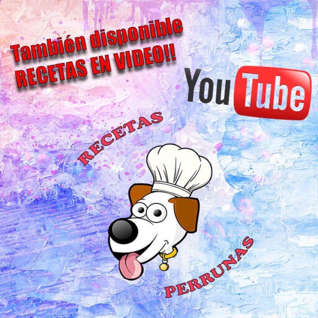 Un Perro Puede Comer Tortillas De Trigo Integral 1024x1024