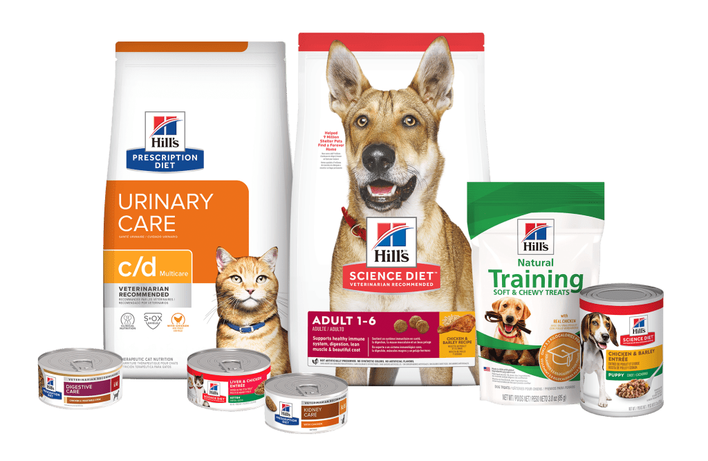Alimentos Mascotas 1024x666