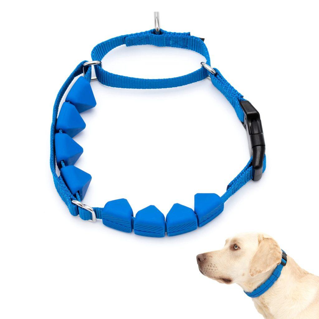 Collar Entrenamiento 1024x1024