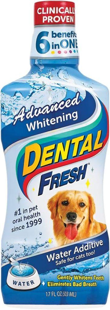 Dental Mascota 364x1024