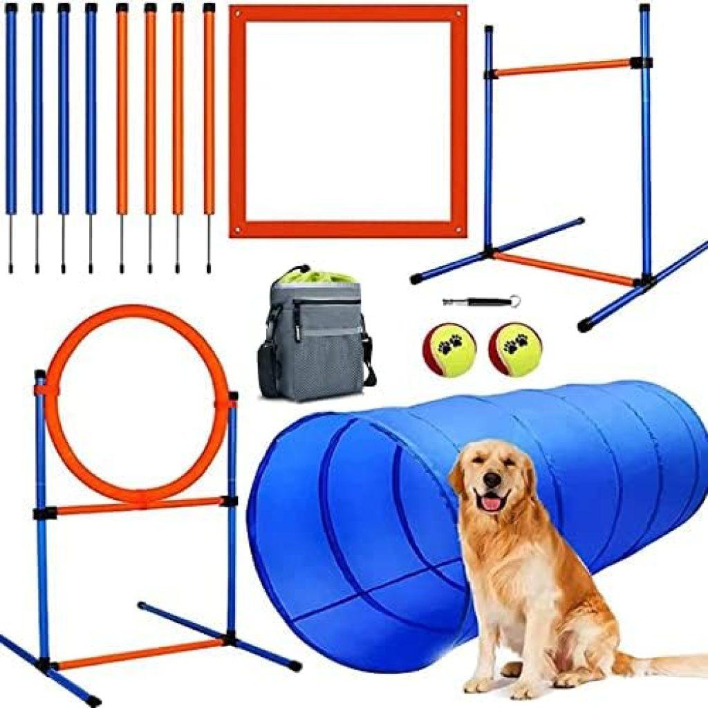 Entrenamiento Mascotas 1024x1024