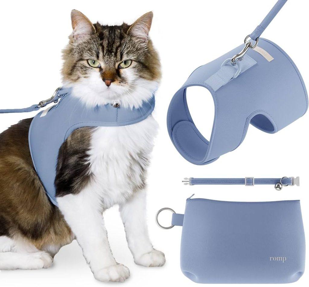 Gatos Correa 1024x951