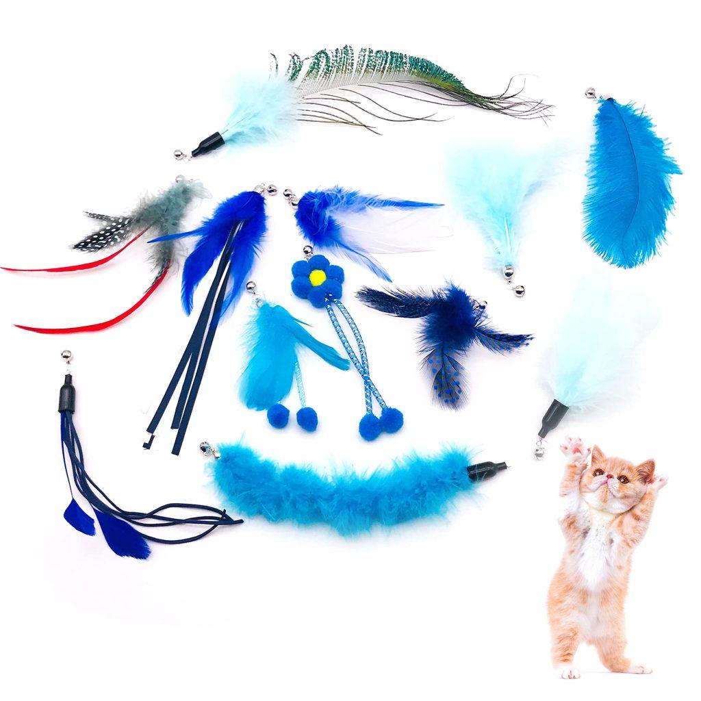 Gatos Plumas 1024x1024