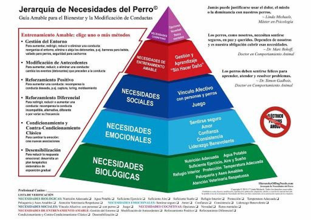 Mascota Necesidades 1024x724