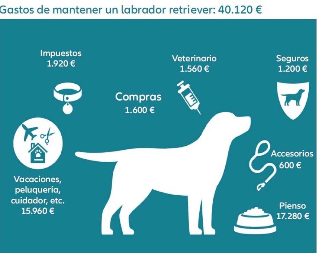 Mascotas Inversion 1024x820