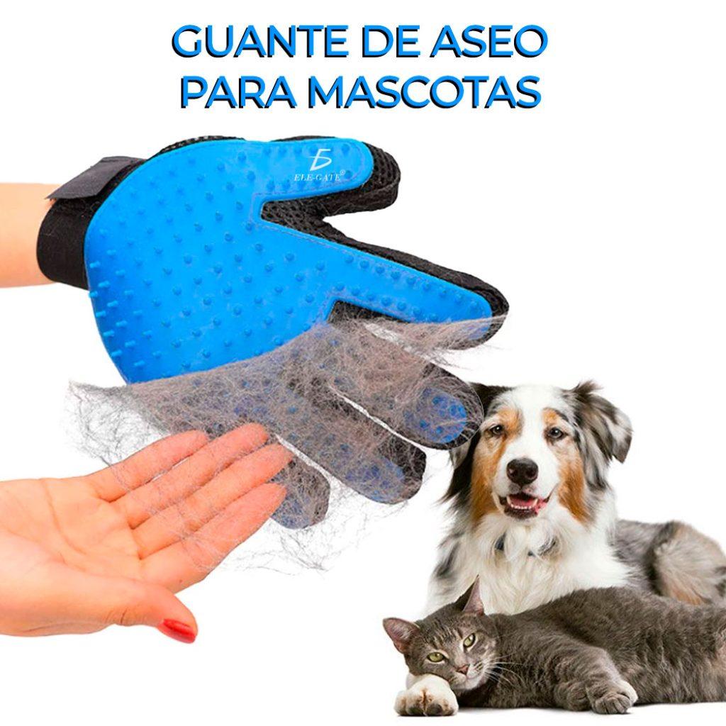 Pelo Mascota 1024x1024