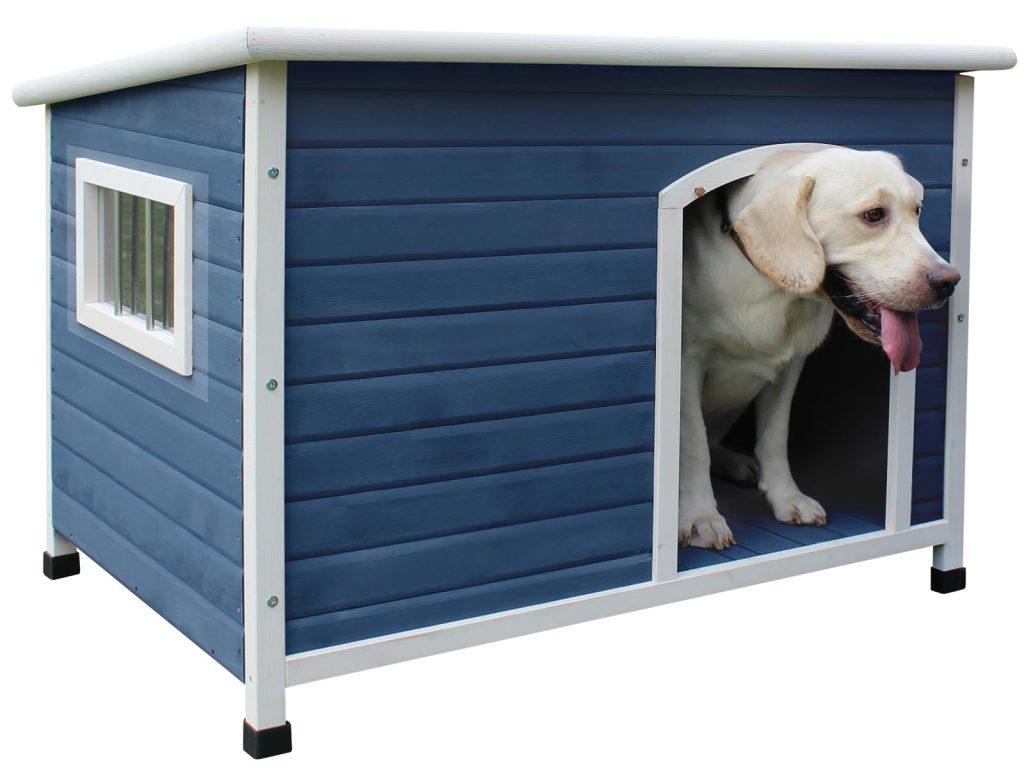 Perro Casa 1024x768