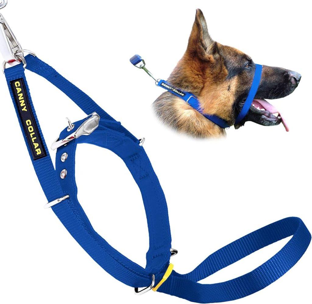 Perro Tire 1024x998