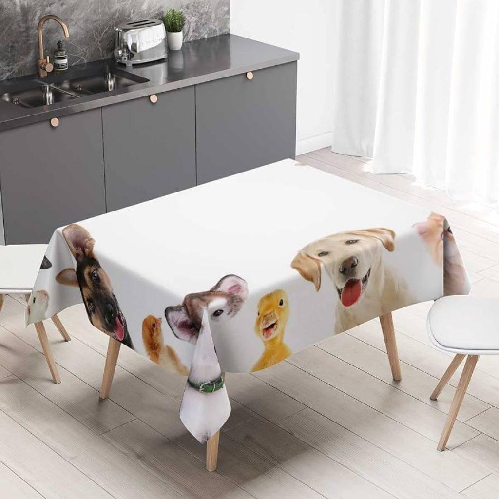Picnic Mascotas 1024x1024