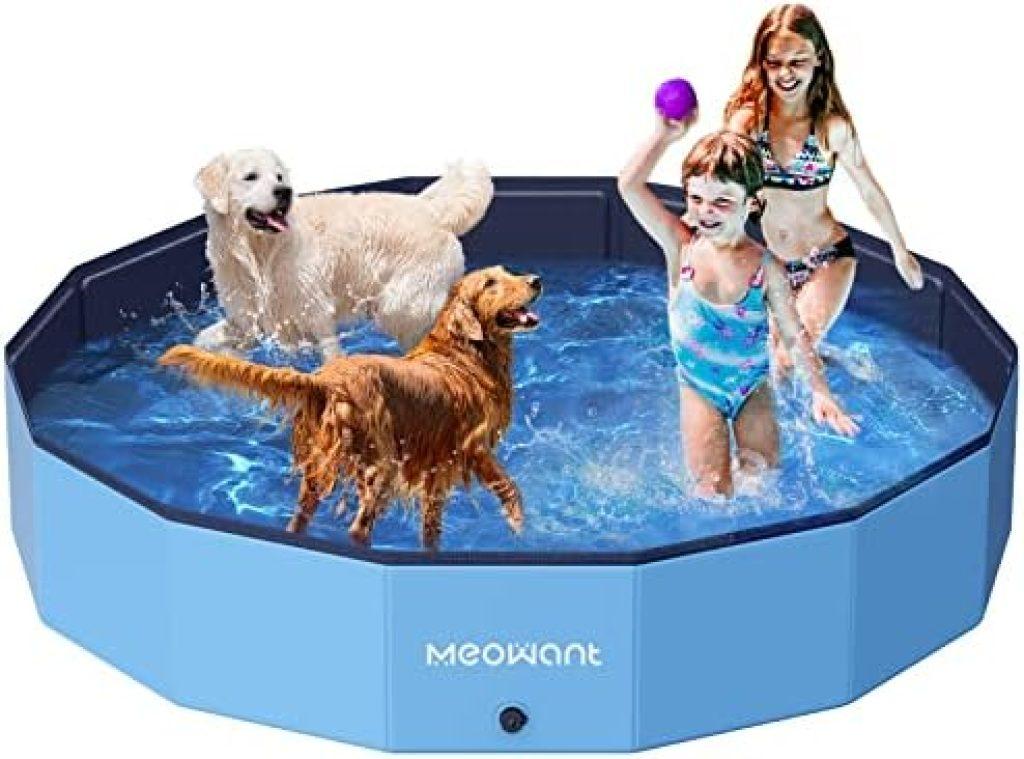 Piscinas Mascotas 1024x759