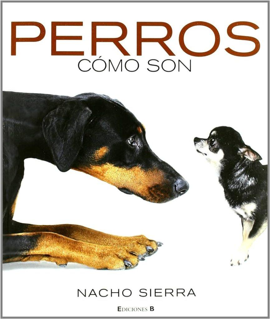 Son Perros 866x1024
