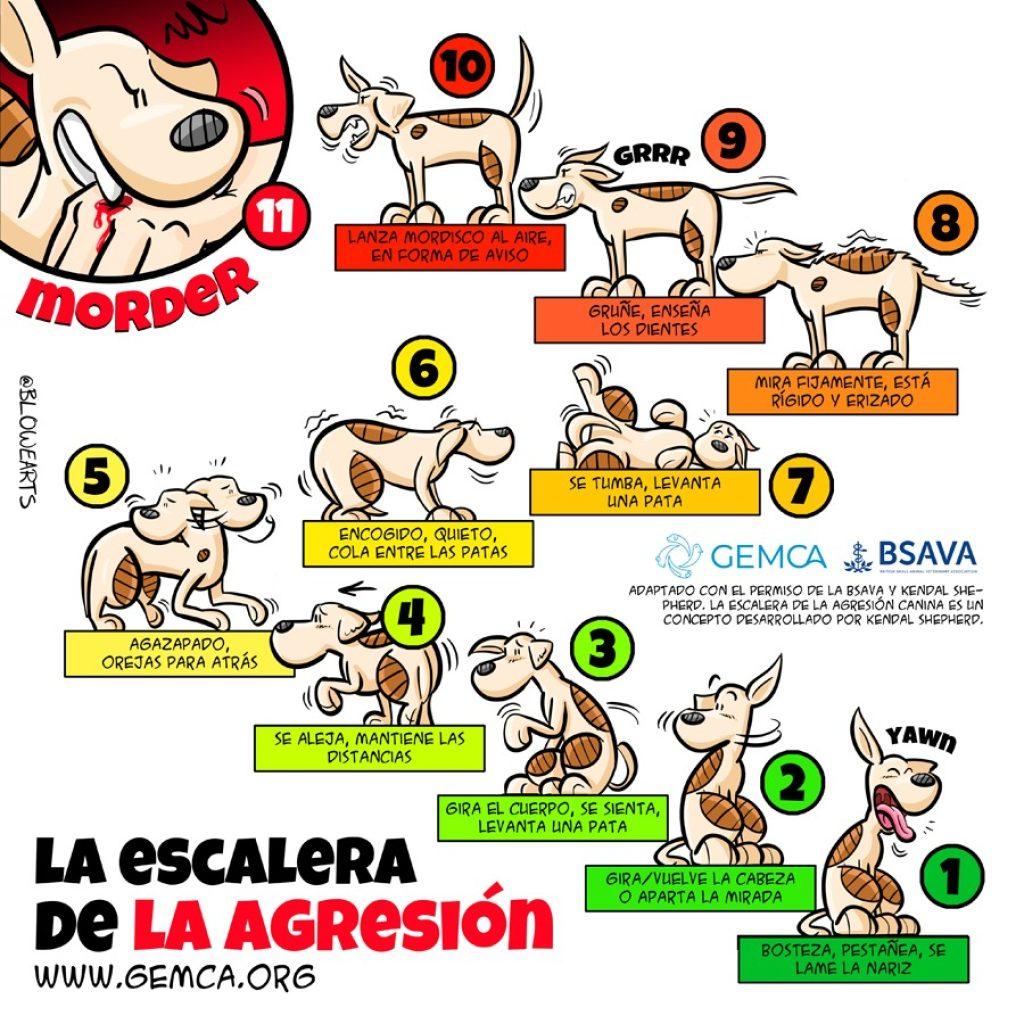 Agresion Perros 1024x1024