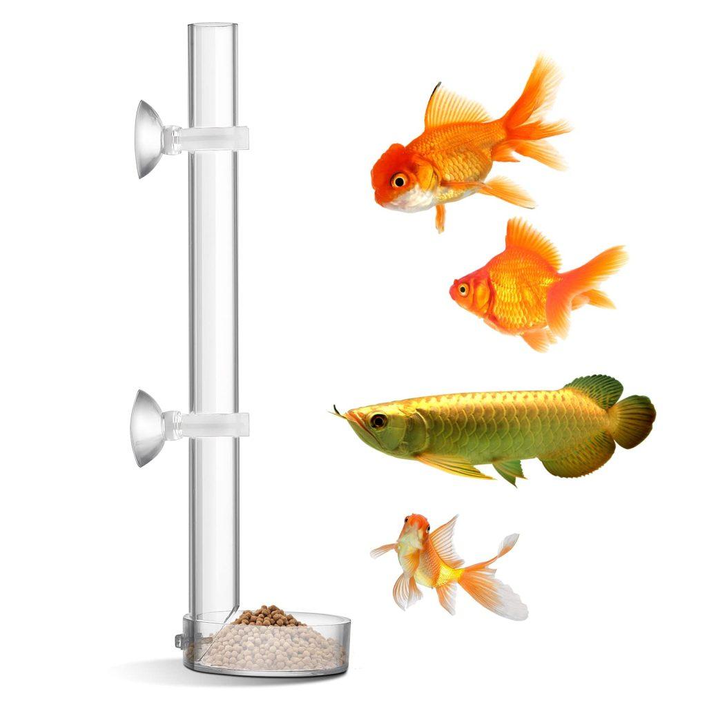 Comedero Peces 1024x1024