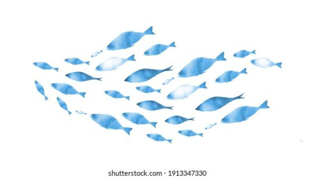 Peces Fondo 1024x585