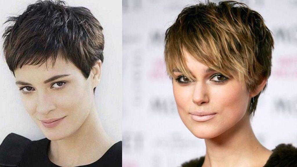 Pelo Corto 1024x576