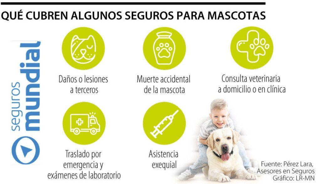 Seguro Mascotas 1024x588