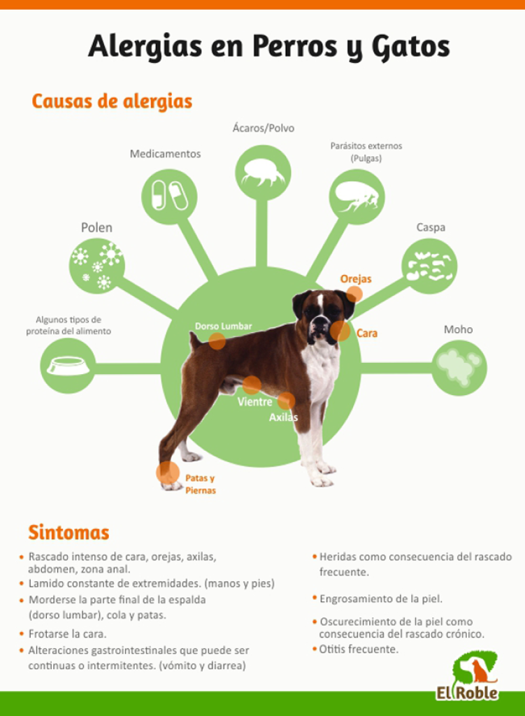 Alergias Mascota 751x1024