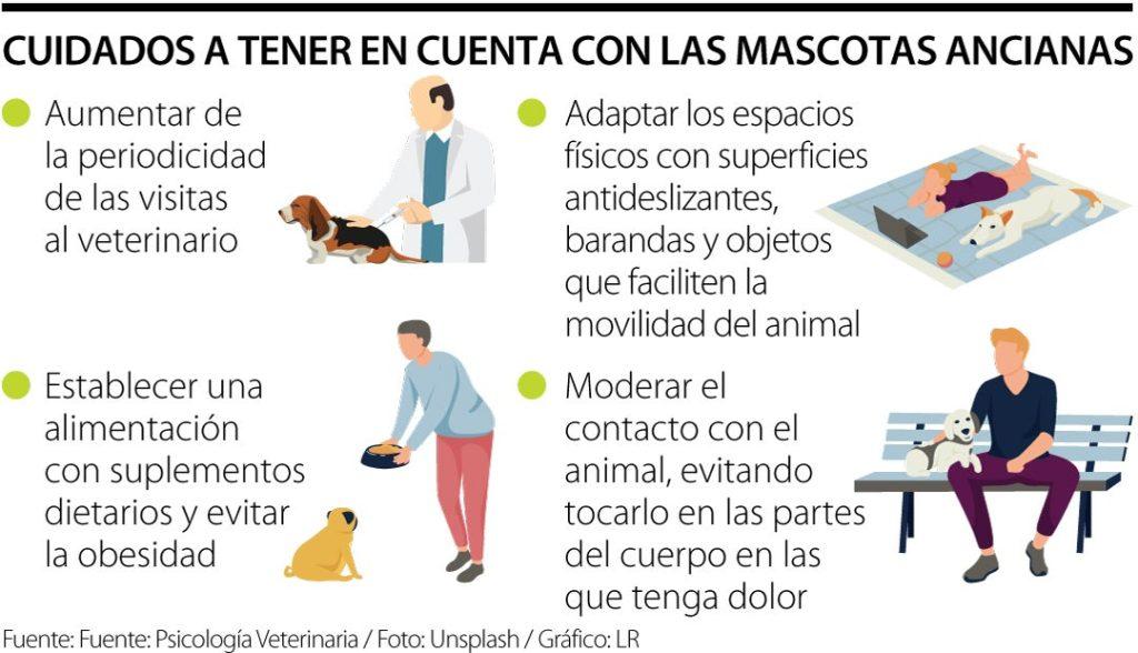 Mascota Vejez 1024x588