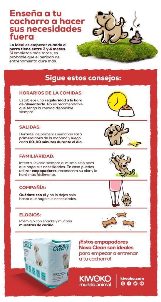 Necesidades Afuera 548x1024
